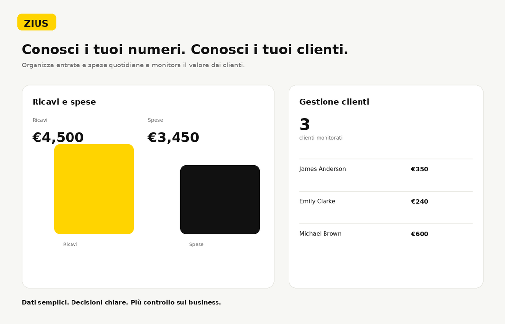 Zius Dashboard Gestione Aziendale - versione italiana