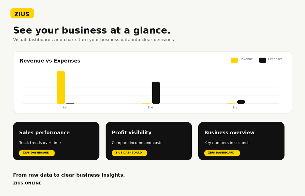 Zius Business Manager Dashboard - English Version
