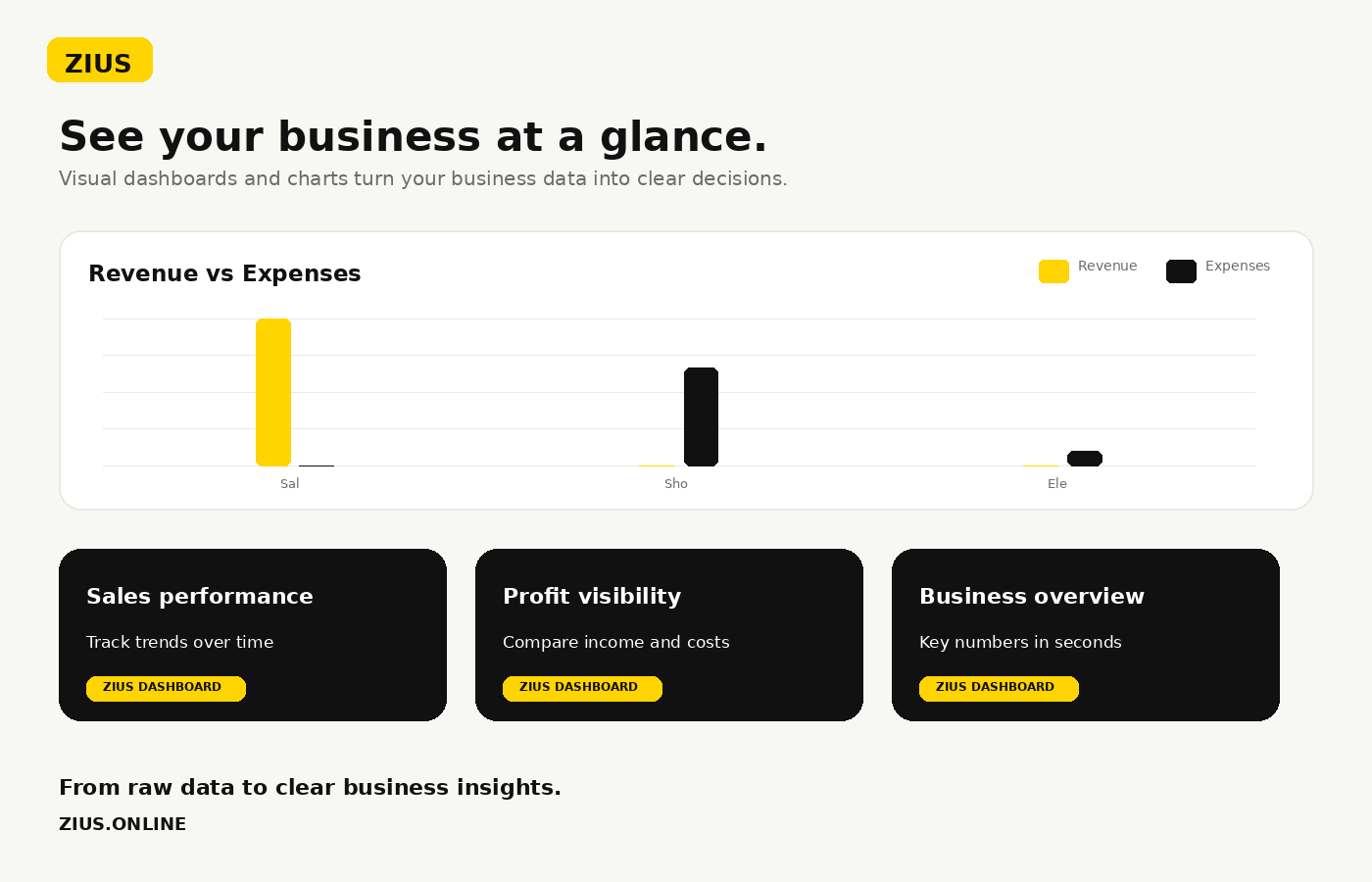 Zius Business Manager Dashboard - English Version
