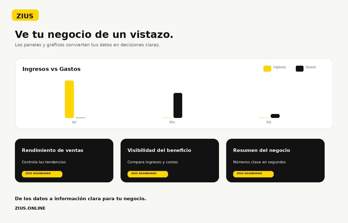 Zius Dashboard Gestion Empresarial - Versión en español