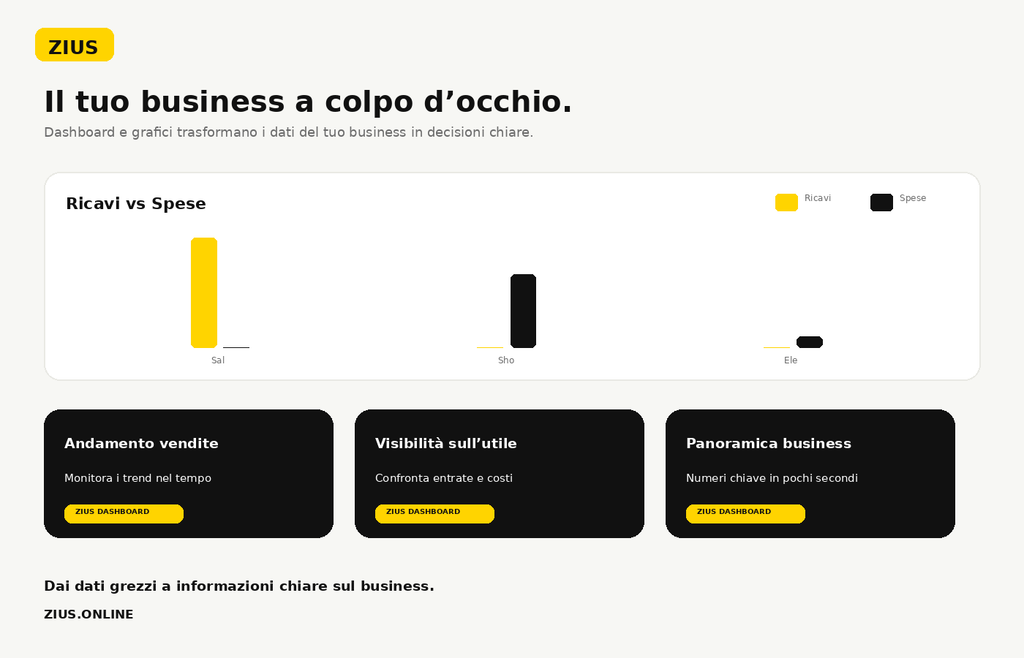 Zius Dashboard Gestione Aziendale - versione italiana